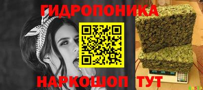 гидропоника Будённовск