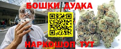 гидропоника Будённовск