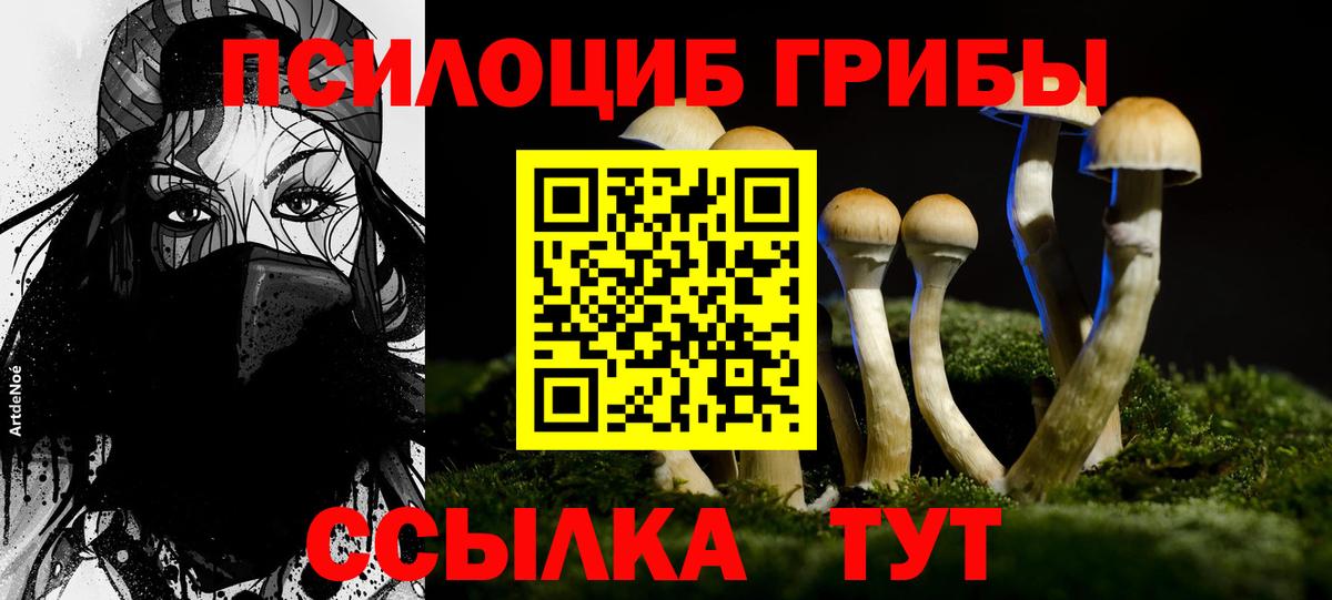 Псилоцибиновые грибы прущие грибы  Вход с VPN  купить закладку  Кореновск 