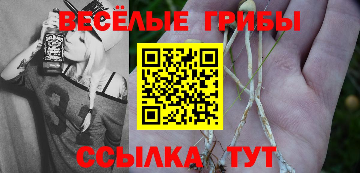 Псилоцибиновые грибы прущие грибы Кореновск